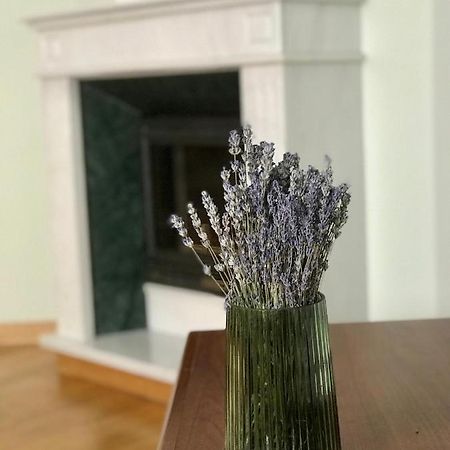 Family Apartment Near The University تشيرنيفتسي المظهر الخارجي الصورة