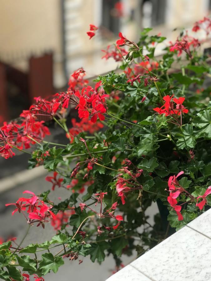 Family Apartment Near The University تشيرنيفتسي المظهر الخارجي الصورة